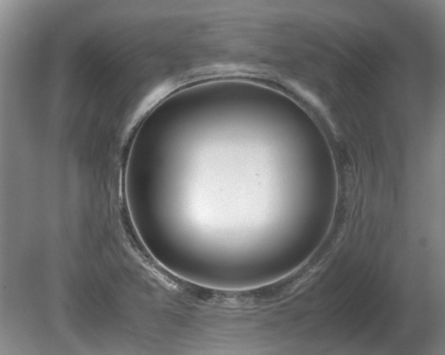 X0000081291365200701181758