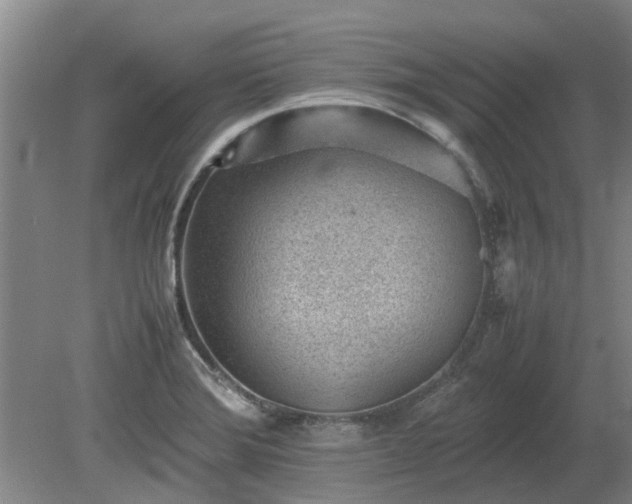 X0000081291372200701181758