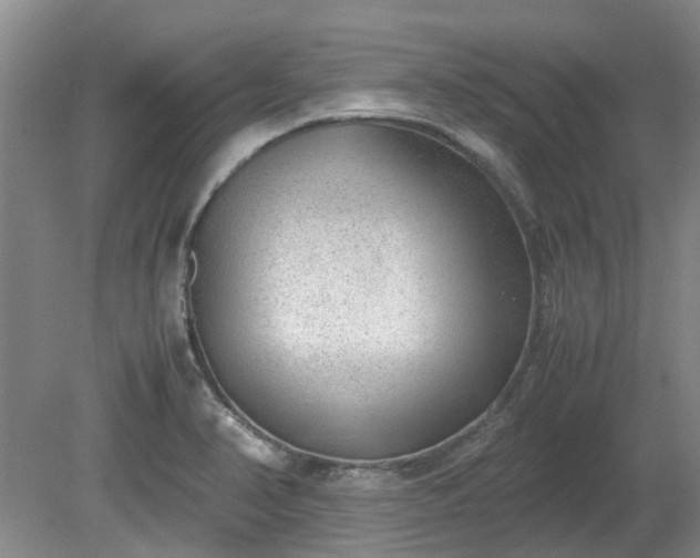 X0000081291374200701181758