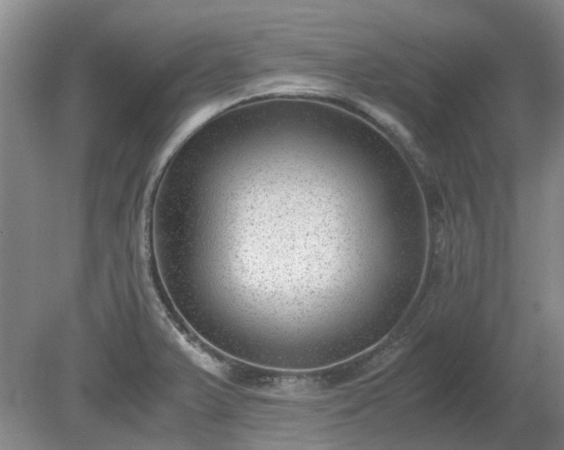 X0000081291375200701181758
