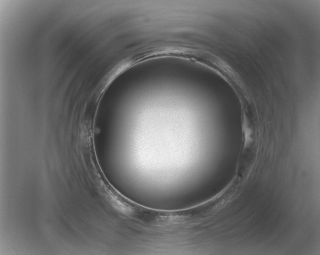 X0000081291377200701181758