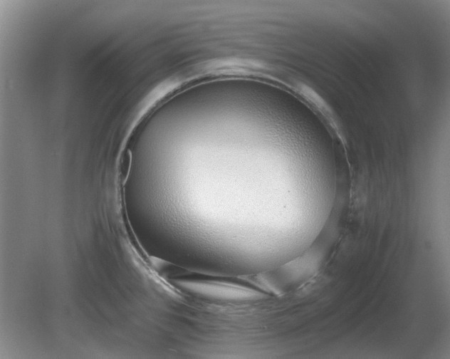 X0000081291384200701181758