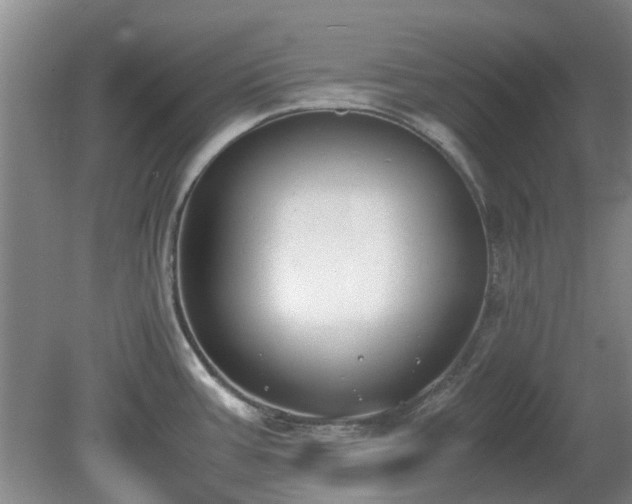 X0000081291387200701181758