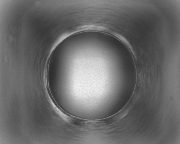 X0000081291391200701181757