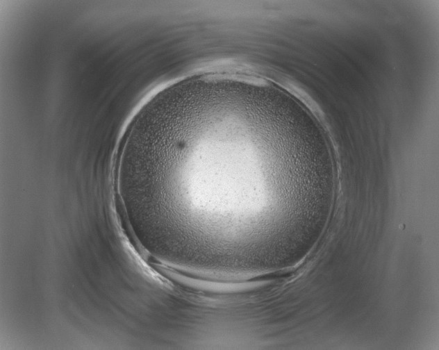 X0000081291392200701181757