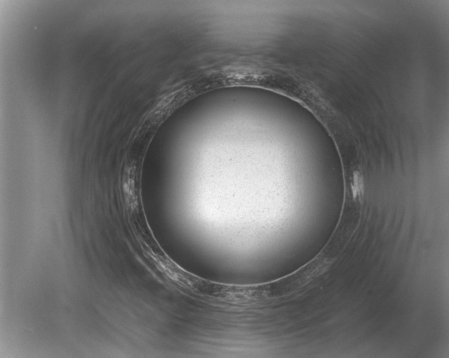 X0000081291396200701181757