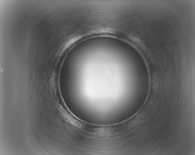 X0000081291404200701181757