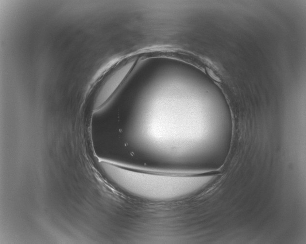 X0000081291406200701181757