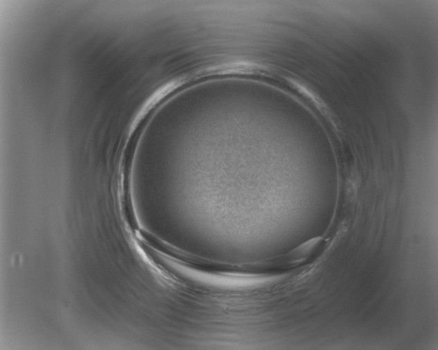 X0000081291418200701181757