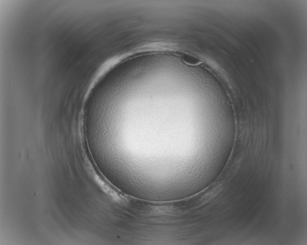 X0000081291421200701181757