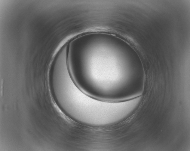 X0000081291422200701181757