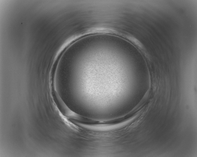 X0000081291430200701181757