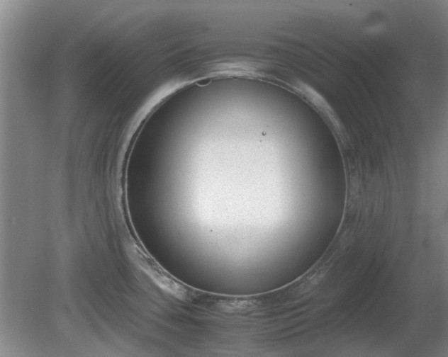 X0000081291435200701181757