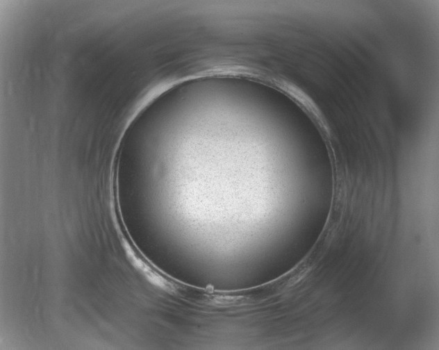 X0000081291439200701181757