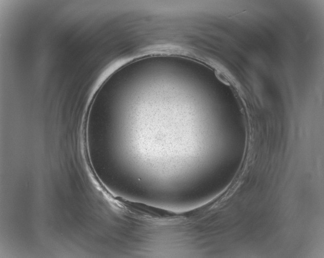 X0000081291440200701181757
