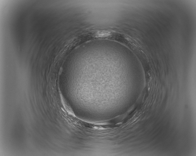 X0000081291441200701181757