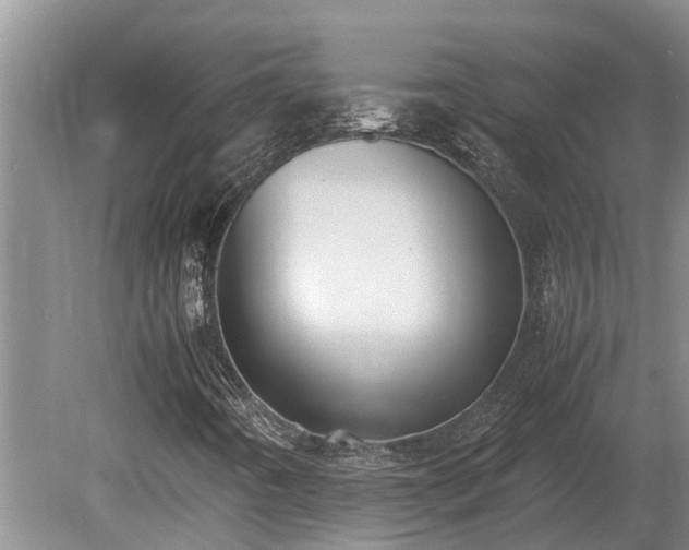 X0000081291442200701181757