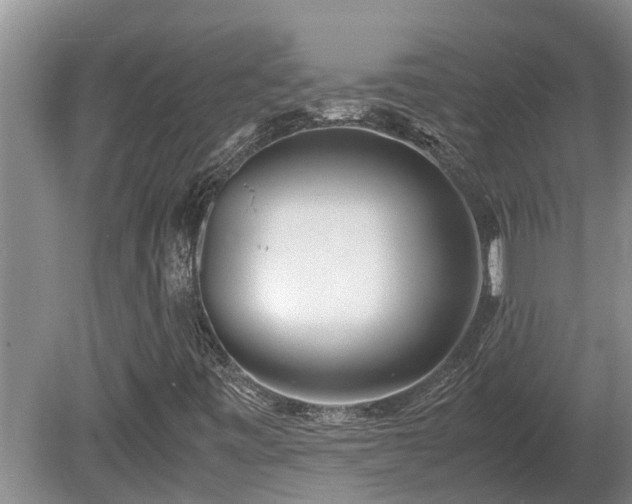 X0000081291443200701181757