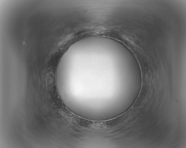 X0000081291447200701181757