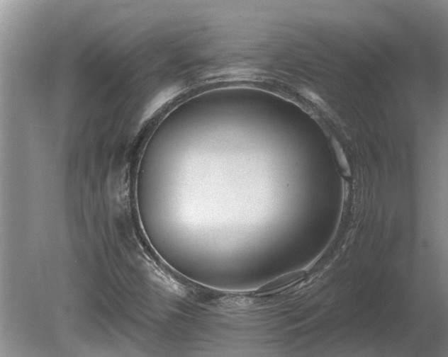 X0000081291450200701181756