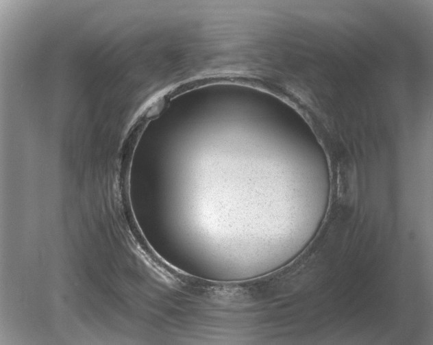 X0000081291452200701181756