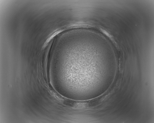 X0000081291453200701181756