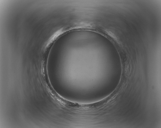X0000081291455200701181756