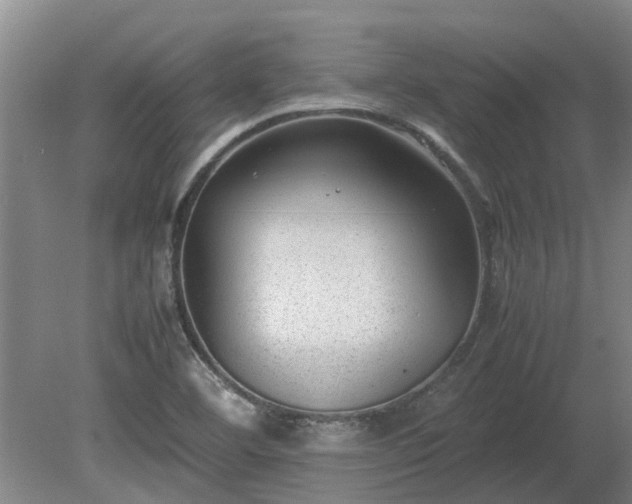 X0000081291460200701181756
