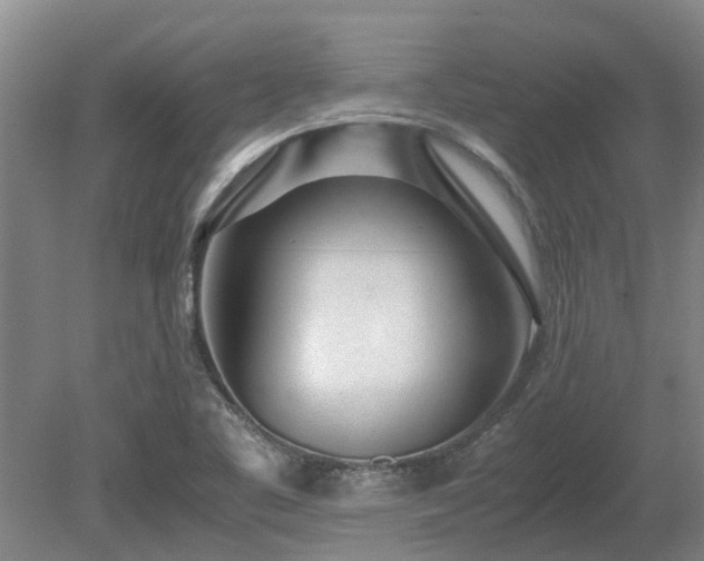 X0000081291461200701181756