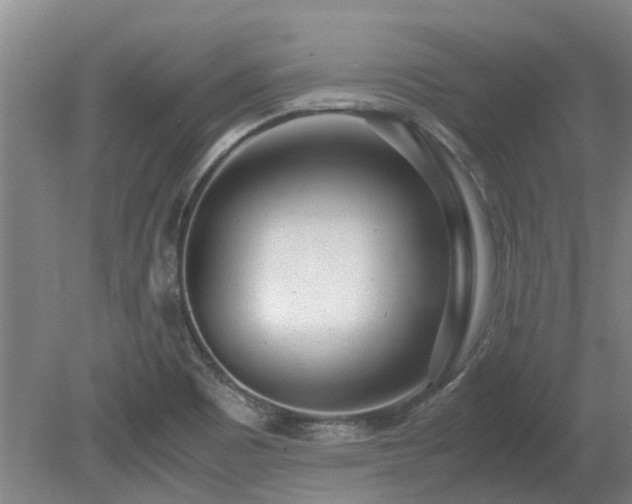 X0000081291465200701181756