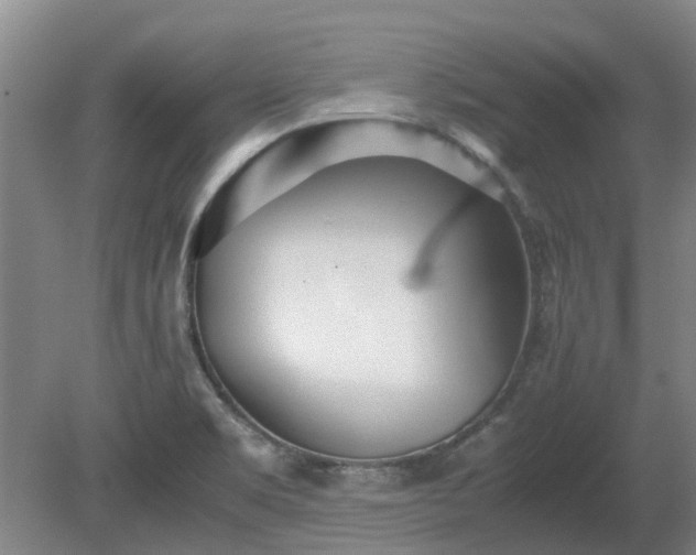 X0000081291469200701181756
