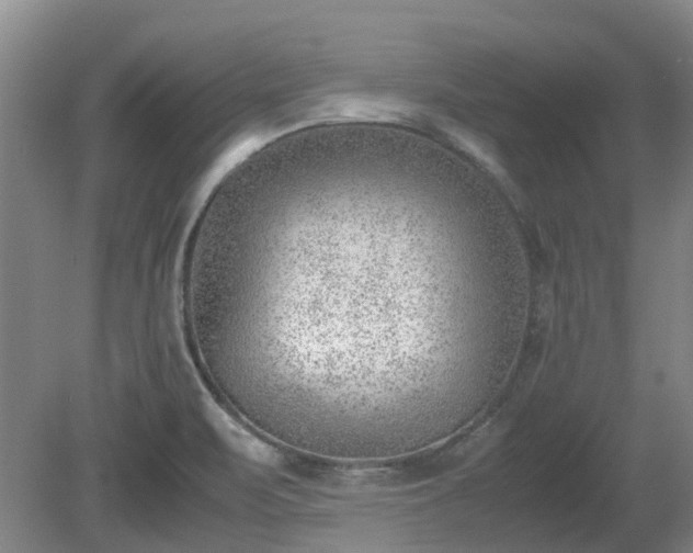 X0000081291471200701181756