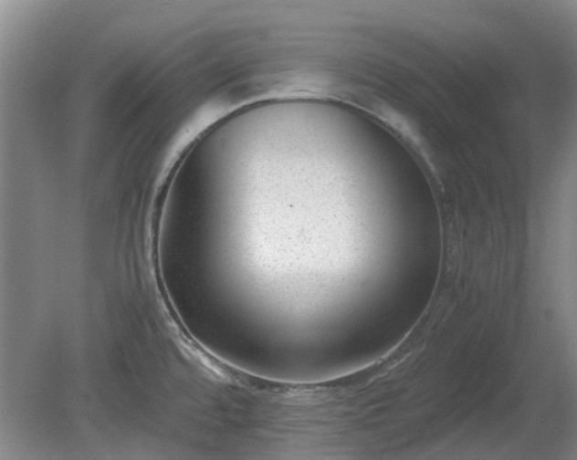 X0000081291480200701181756