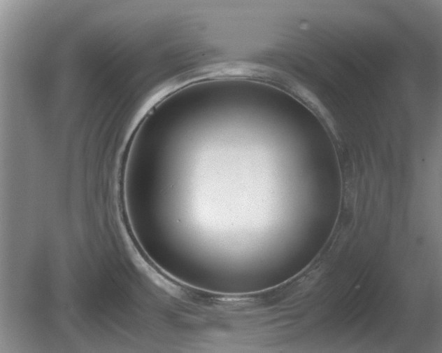 X0000081291483200701181756