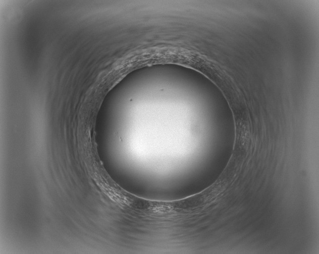 X0000081291489200701181755