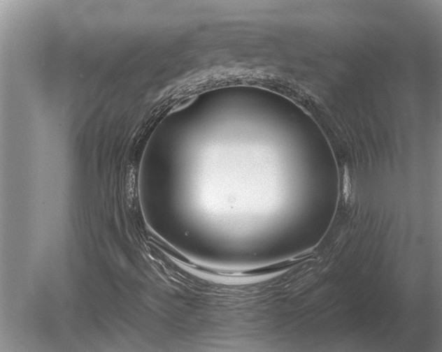 X0000081291492200701181755