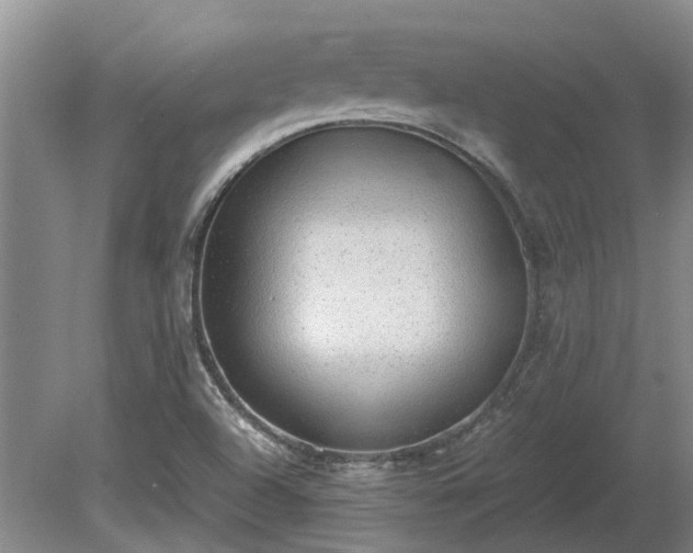 X0000081291504200701181755