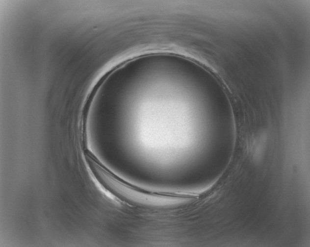 X0000081291519200701181756