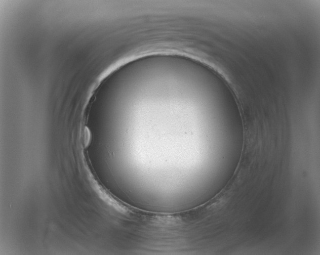 X0000081291526200701181756