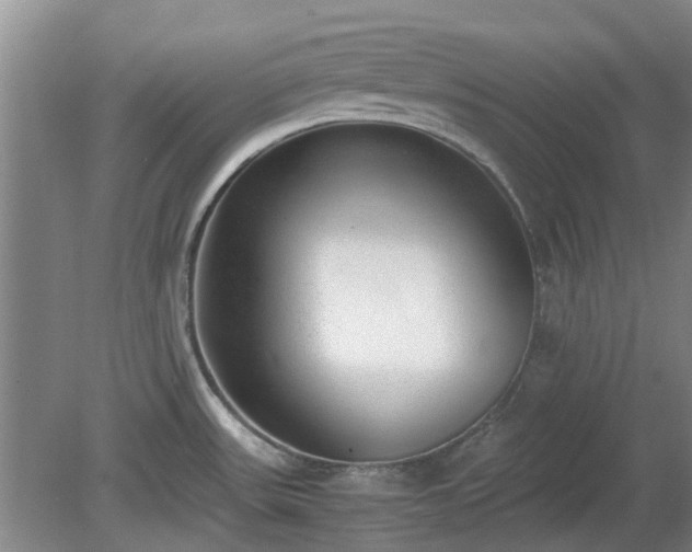 X0000081291531200701181756