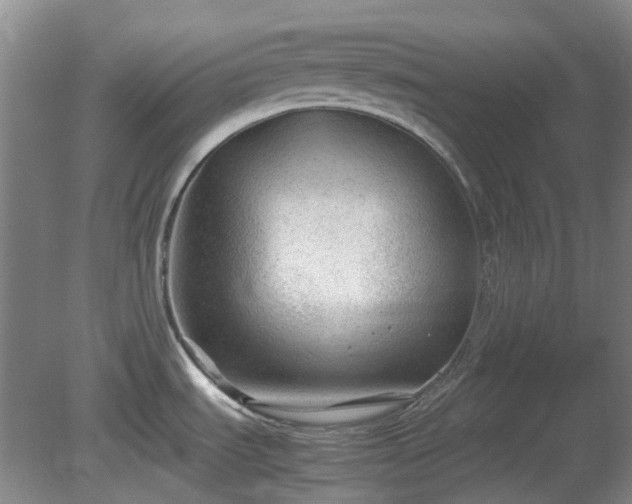 X0000081291535200701181756