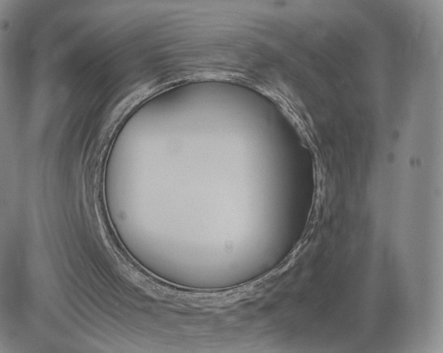 X0000081290001200701251704