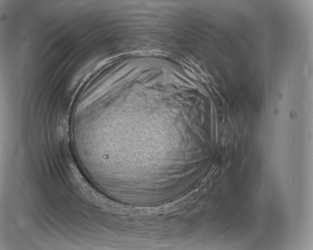 X0000081290002200701251704