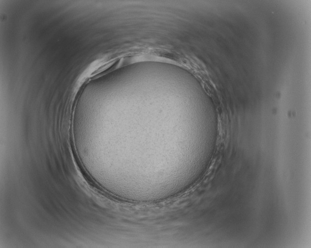 X0000081290003200701251704