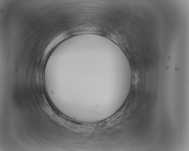 X0000081290004200701251704