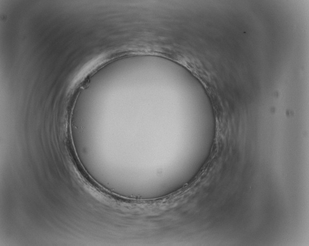 X0000081290005200701251704