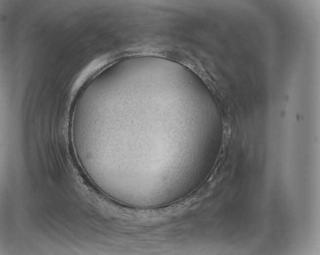 X0000081290006200701251704