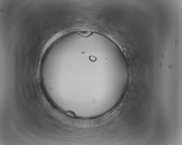 X0000081290008200701251704