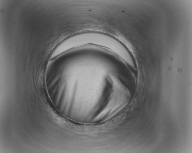 X0000081290009200701251704