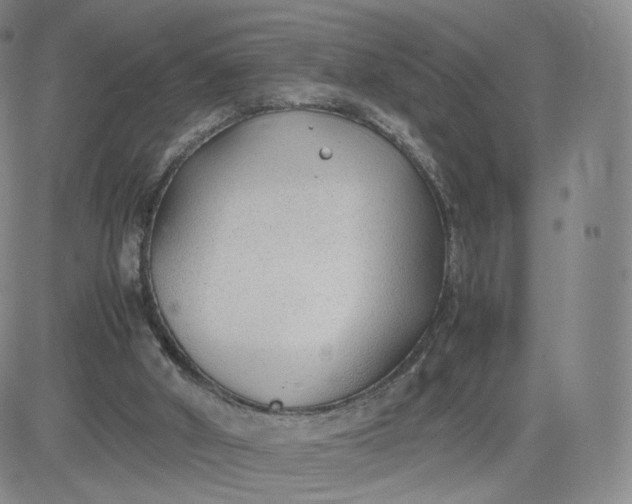 X0000081290010200701251704